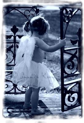 Ange